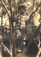 dad_02.jpg (202885 bytes)